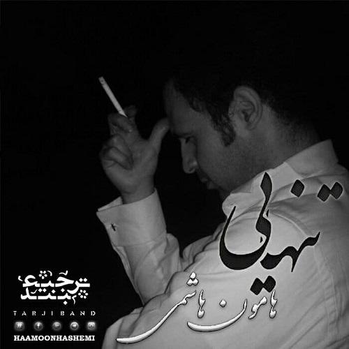 هامون هاشمی تنهایی باکیفیت320 هامون هاشمی تنهایی باکیفیت320